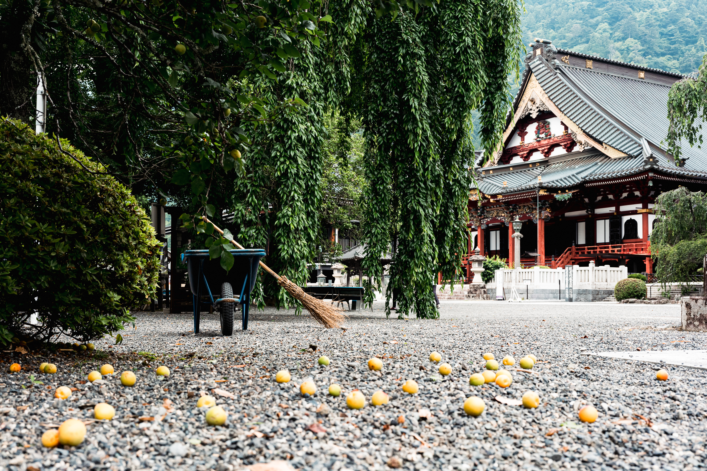 2022.06 - Kuonji Temple, Minobu, Yamanashi
