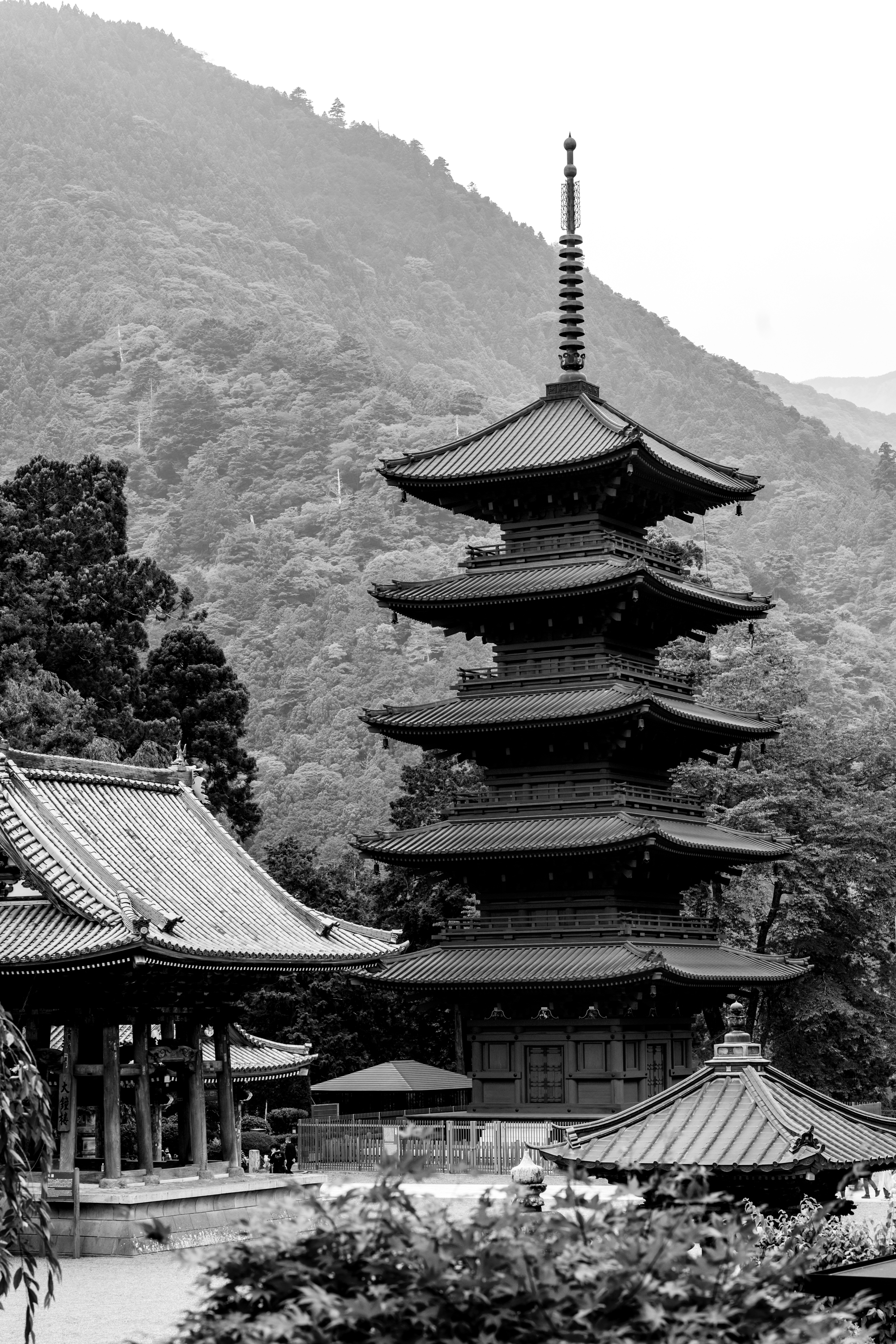 2022.06 - Kuonji Temple, Minobu, Yamanashi