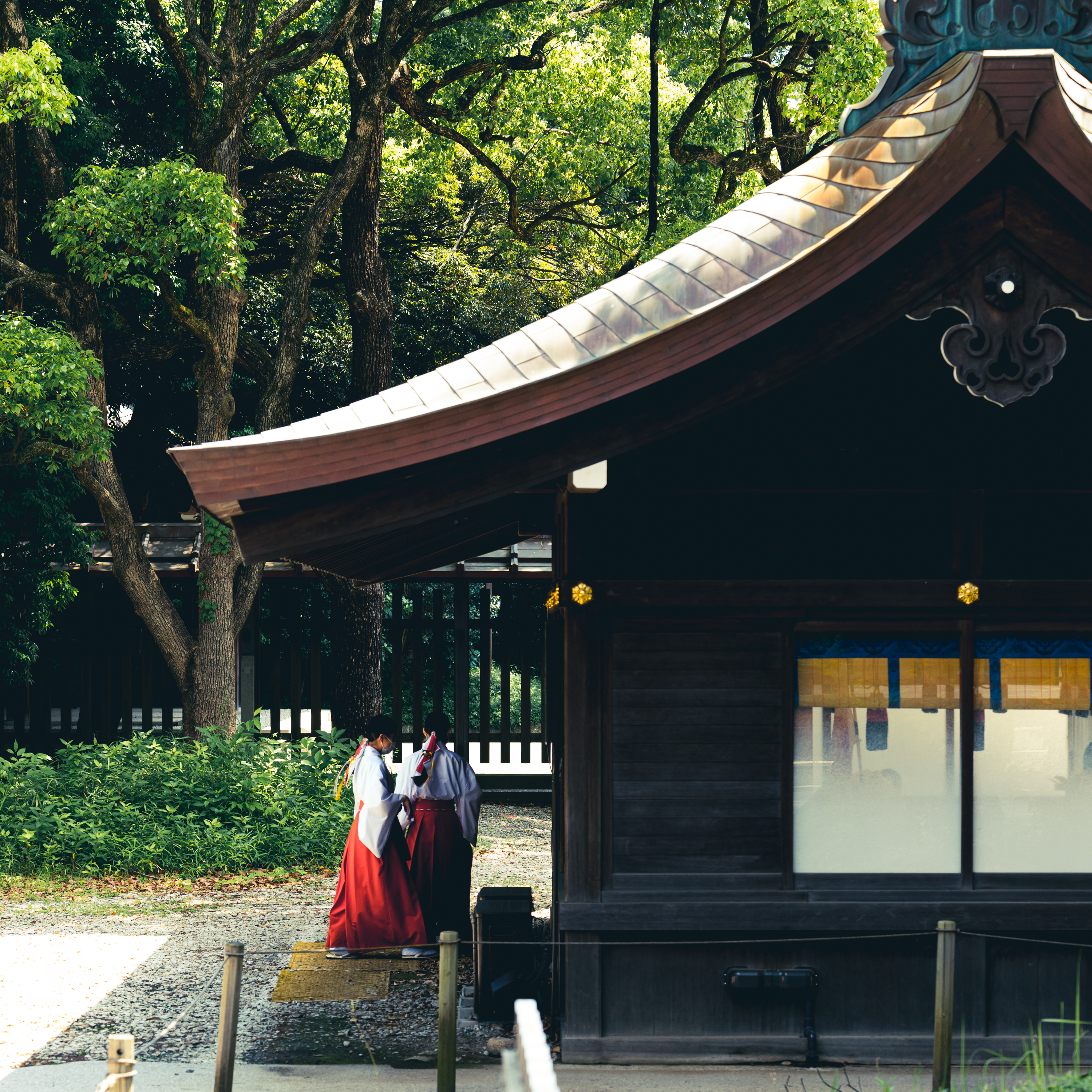 2022.06 - Meiji Jingu Shrine, Shibuya-ku, Tokyo