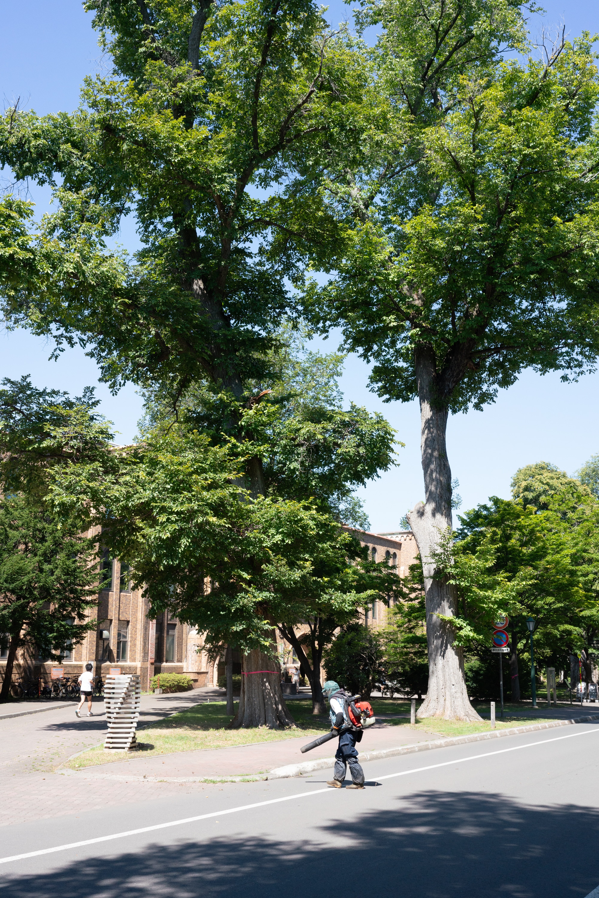 2023.08 - Hokkaido University, Sapporo, Hokkaido