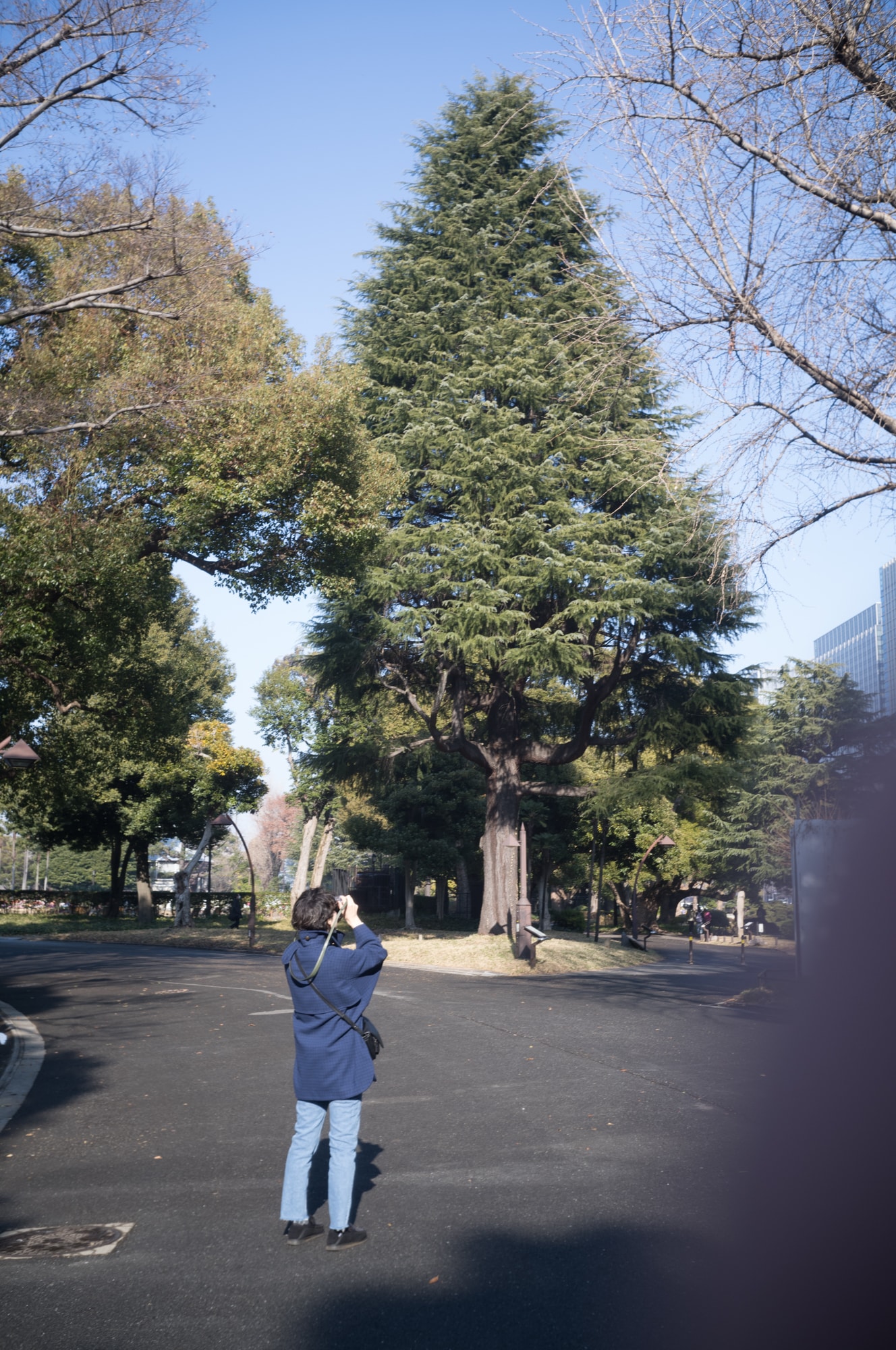 2023.12 - Hibiya Park, Chiyoa-ku, Tokyo