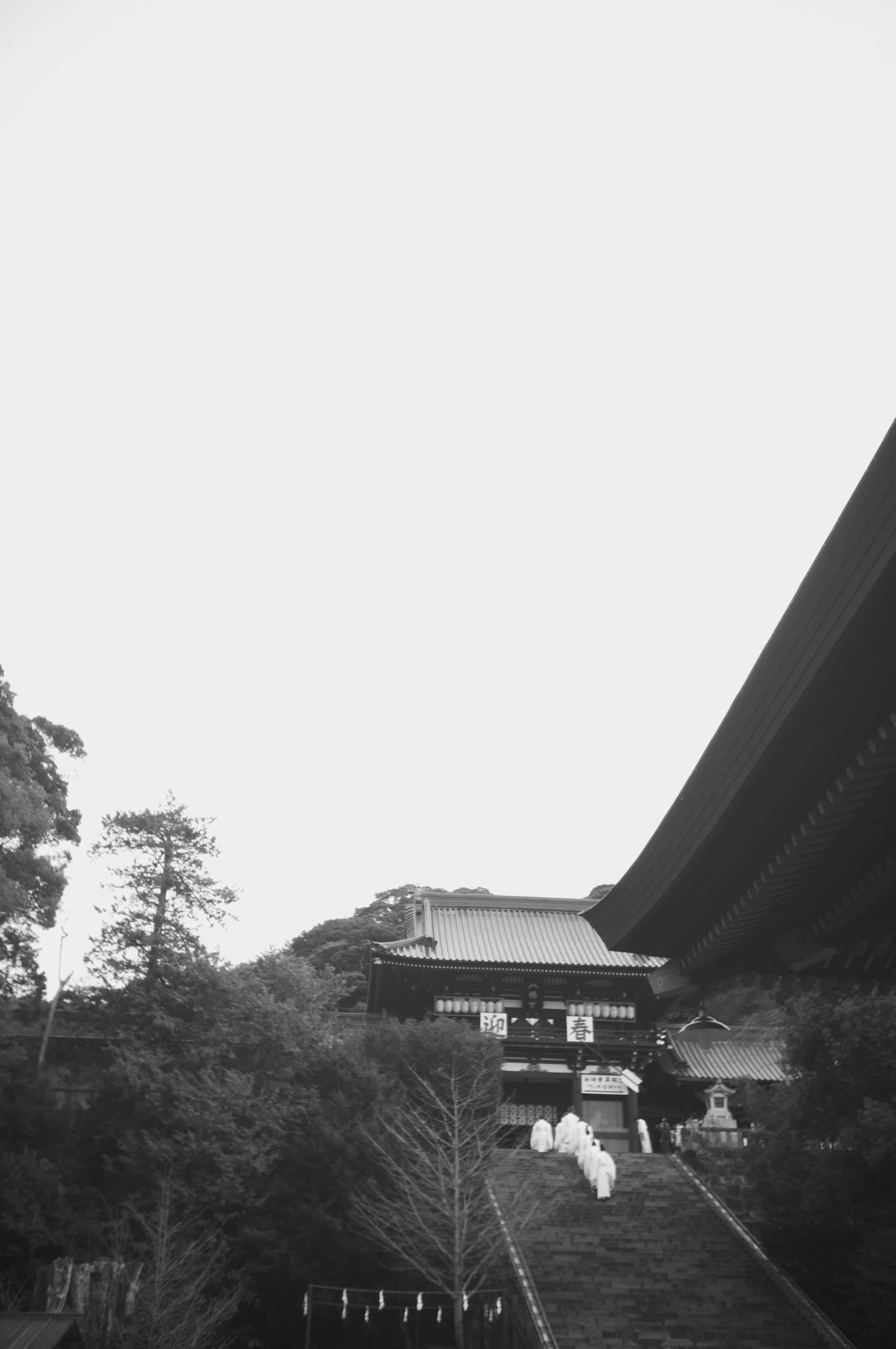 2024.01 - Tsurugaoka hachimangu shrine, Kamakura, Kanagawa