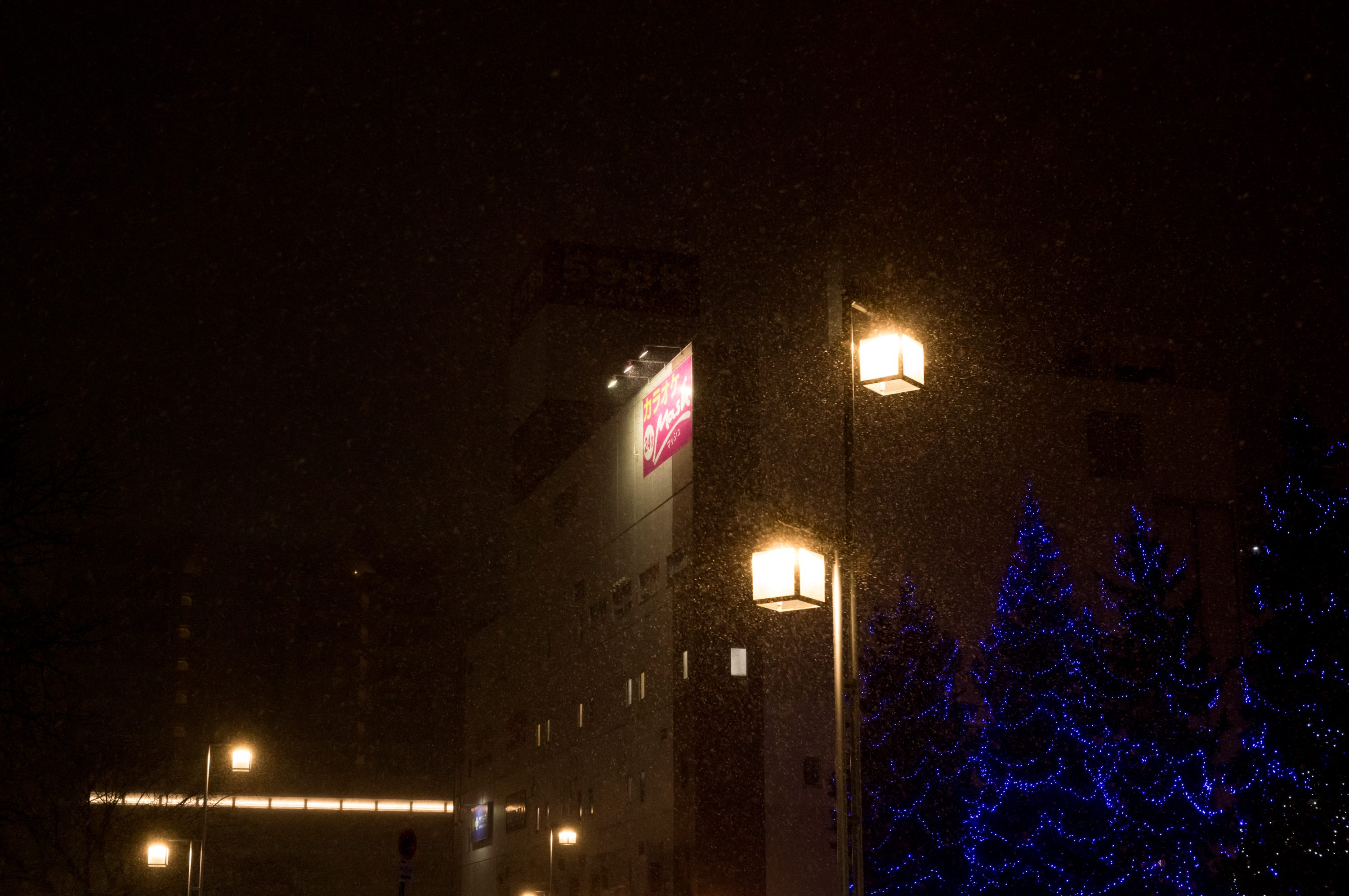 2024.01 - Kotoni, Sapporo, Hokkaido